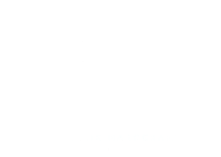 FMCONSULT-LOGO-WEISS-NEU